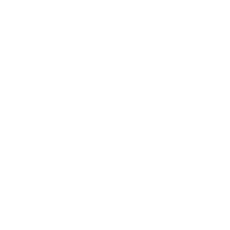 Sentinel Flight Services